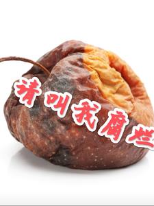 请叫我总监免费