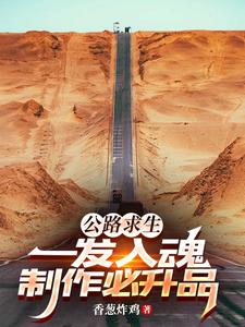 公路求生开局一辆车