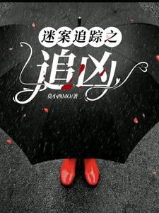 迷案追凶简介